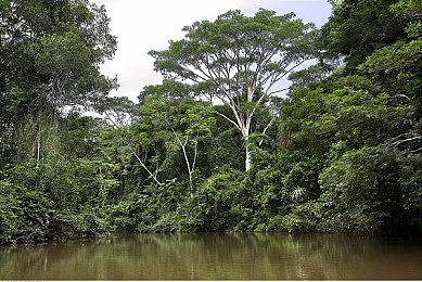 《最后的生还者：重制版》公布媒体赞誉宣传片 PC版即将推出